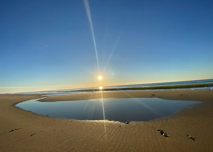 Mobile In 5-star 아파트 *