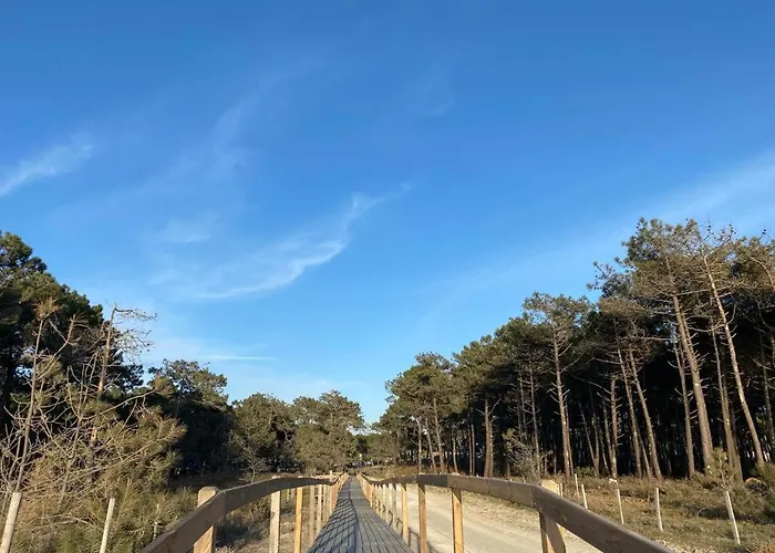 Mobile In 5-star 몽탈리베-레-방